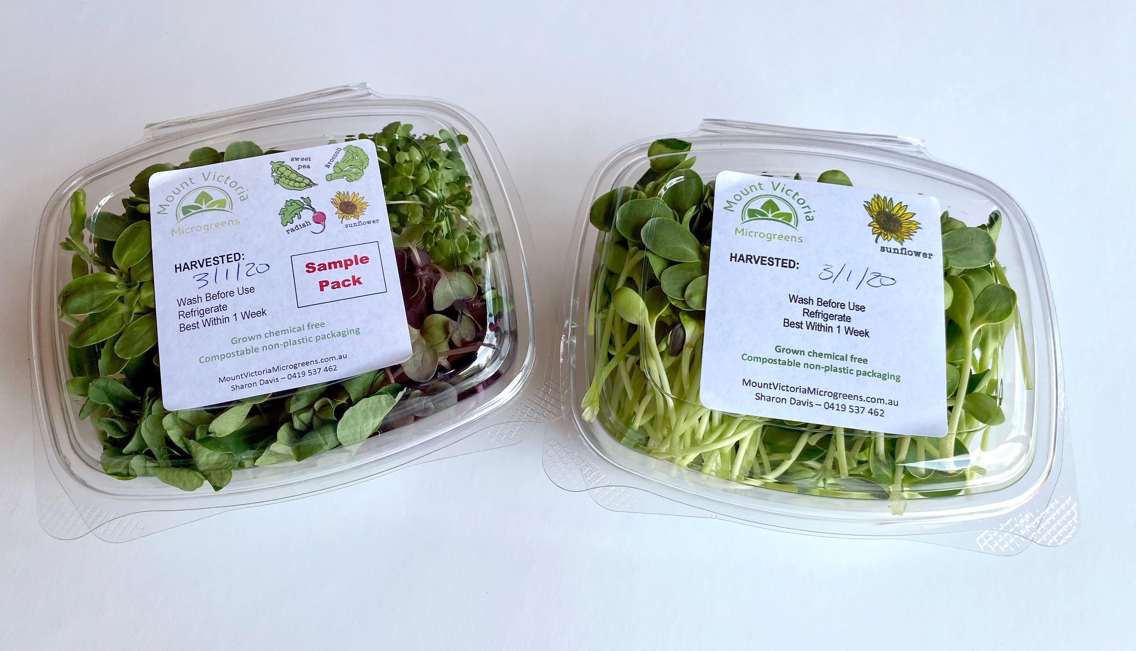 Assorted microgreens samples