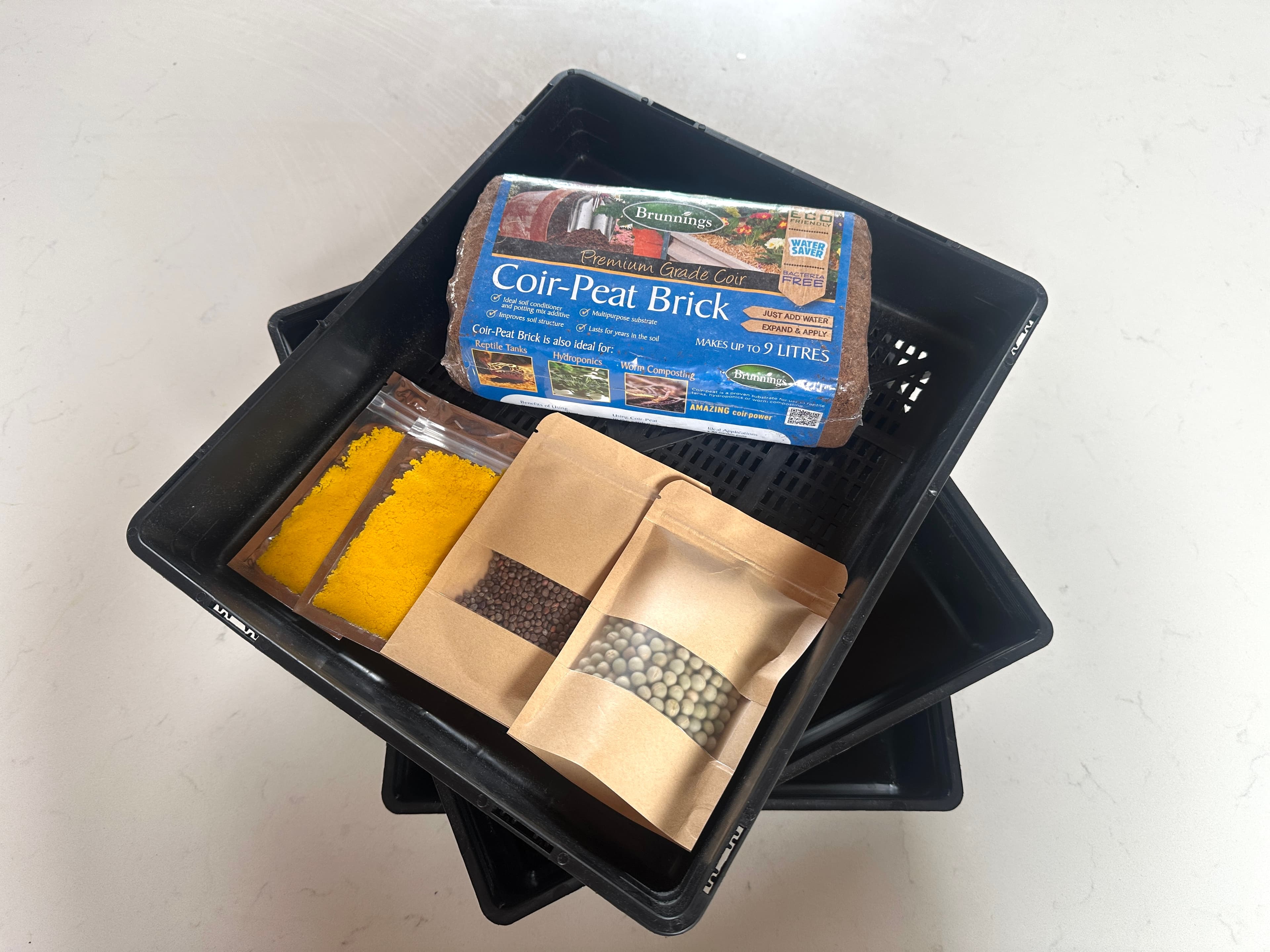 We're Live — Meet the Mount Victoria Microgreens Starter Growing Kit